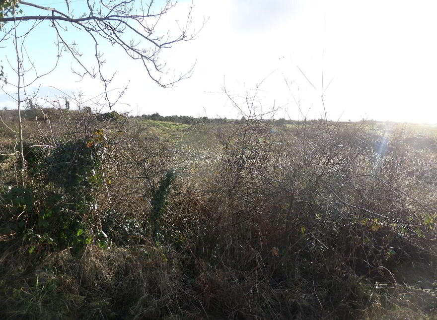 Quinaltagh, Garrafrauns, Tuam, Galway