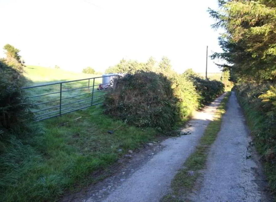 Knocknaclarig, Rockchapel, P51H4X6