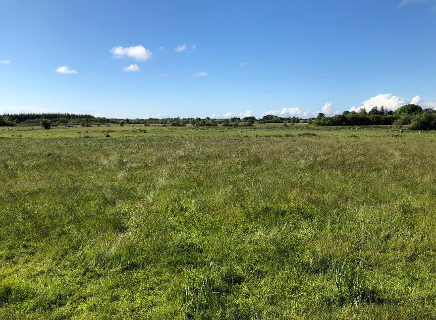 Clogherbeg, Claremorris, Mayo photo