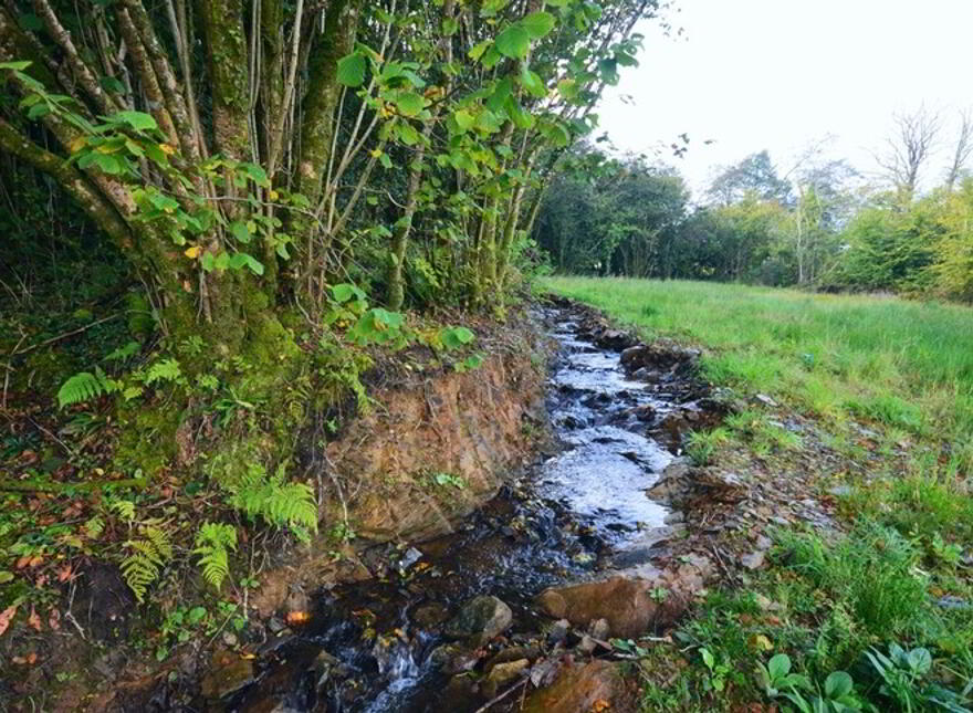 Drumfergus, Killygordon
