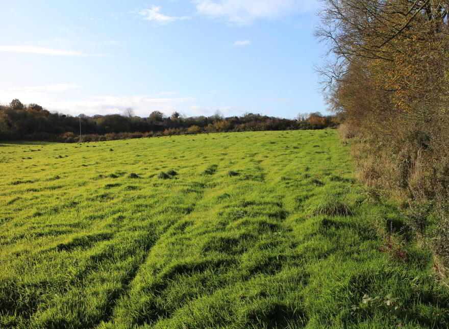 Ballybought, Durrow, Tullamore