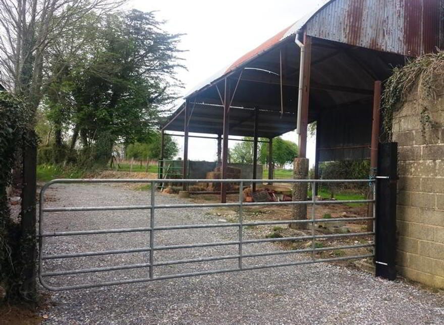 Ballyduggan, Mullinahone