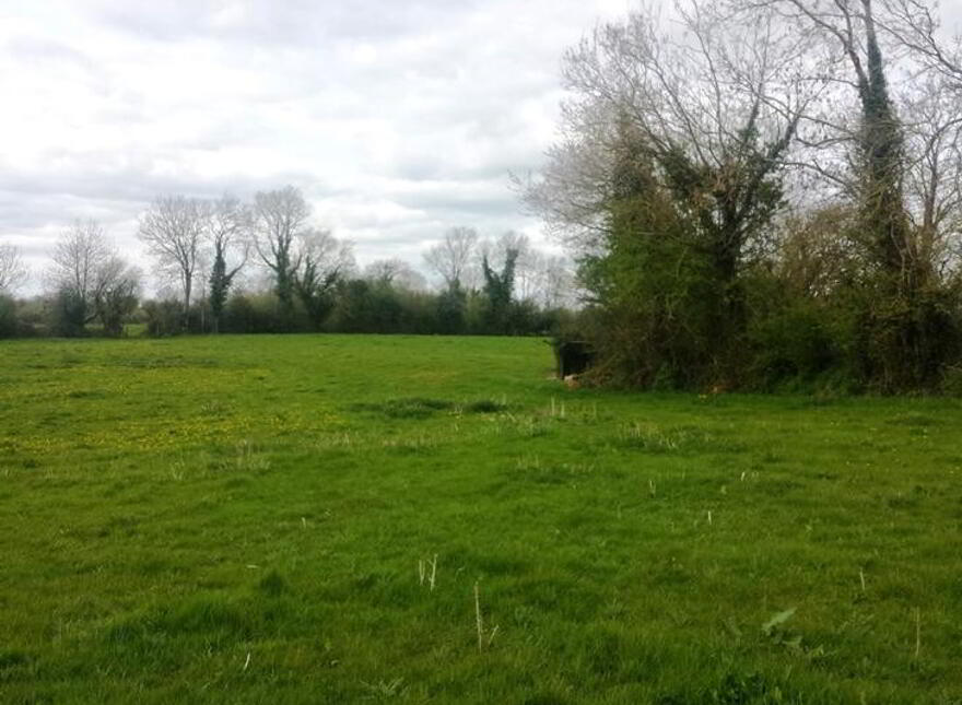 Ballyduggan, Mullinahone