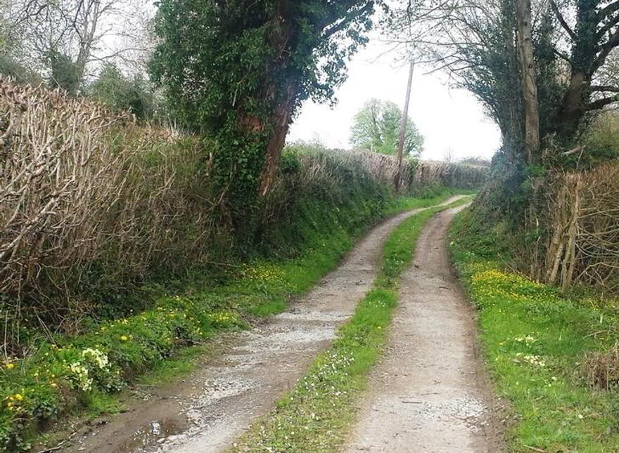 Ballyduggan, Mullinahone