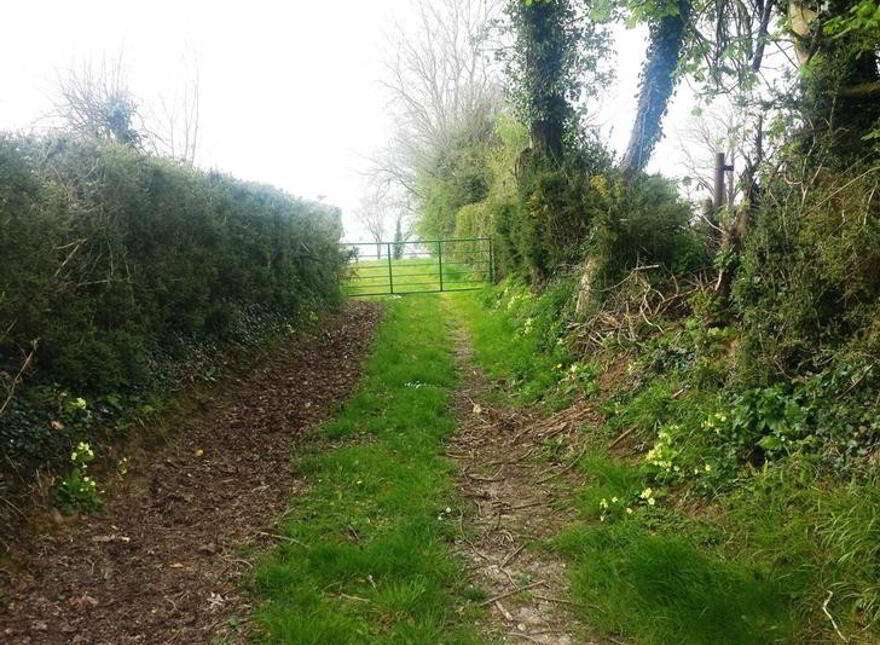Ballyduggan, Mullinahone