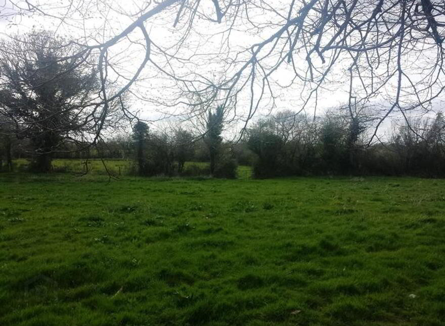 Ballyduggan, Mullinahone