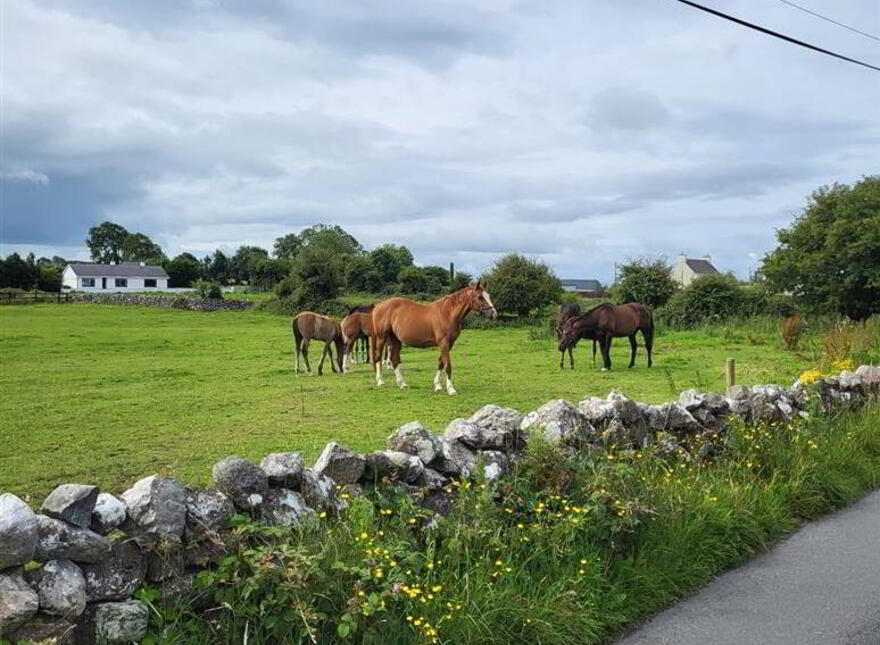 Waterview, Turloughmore, Galway