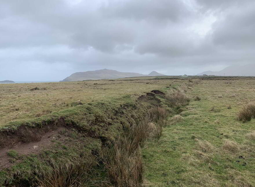 Ballydavid
