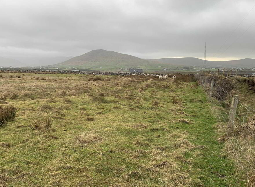 Ballydavid