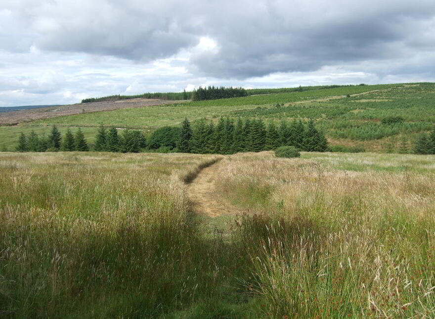 Lands, At Taur Beg, Newmarket