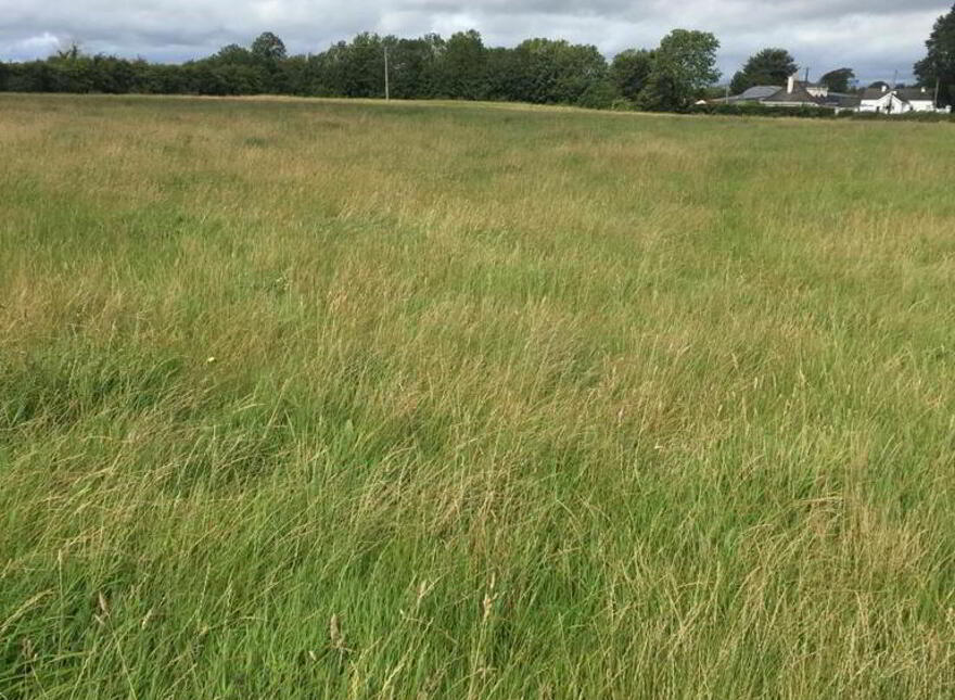 Ballycosney, Tullamore