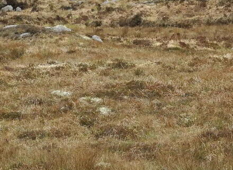 Belcruit, Kincasslagh