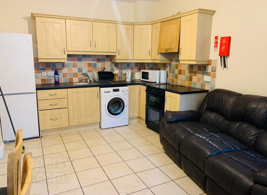 Wolseley Street, Flat 2, Belfast, BT7 1LG photo