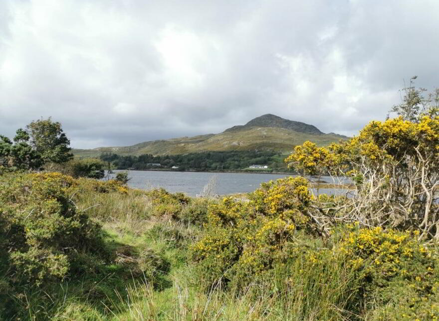 Lehanagh, Cashel, Connemara