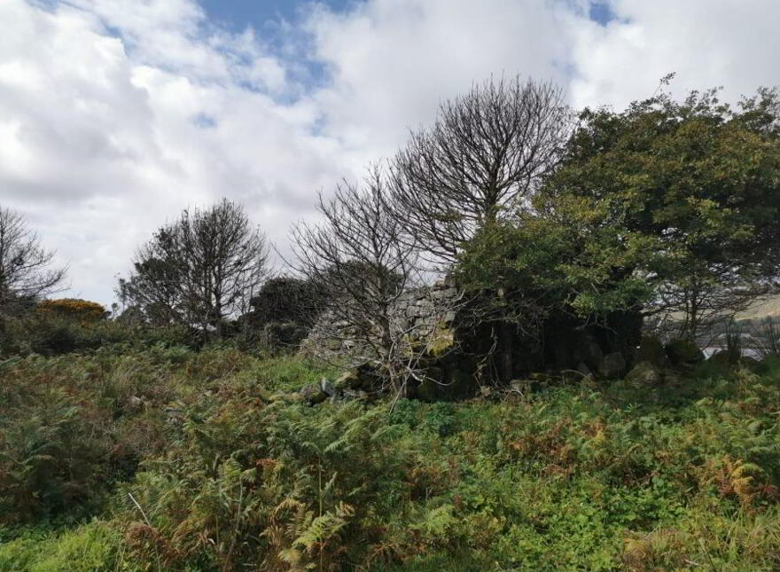 Lehanagh, Cashel, Connemara