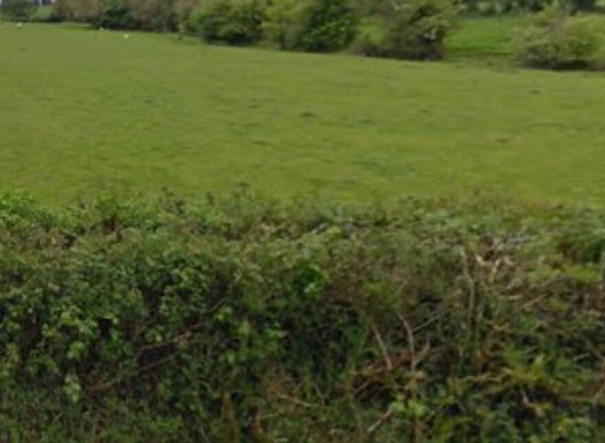 Kilkenny West, The Pigeons, Athlone