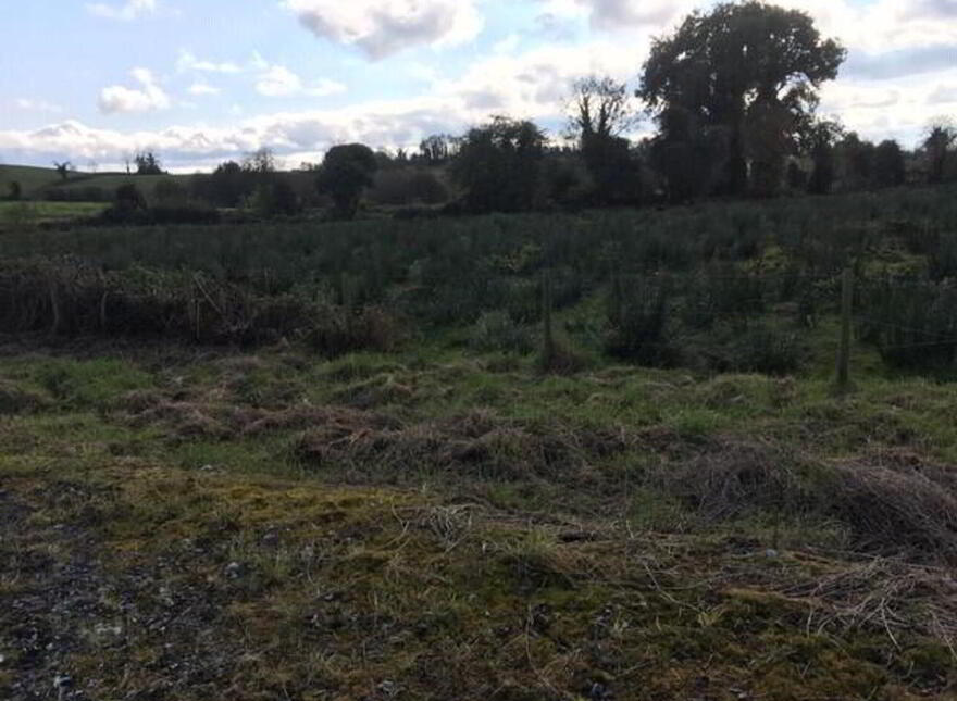Crom Road, Cornabrass, Newtownbutler, BT