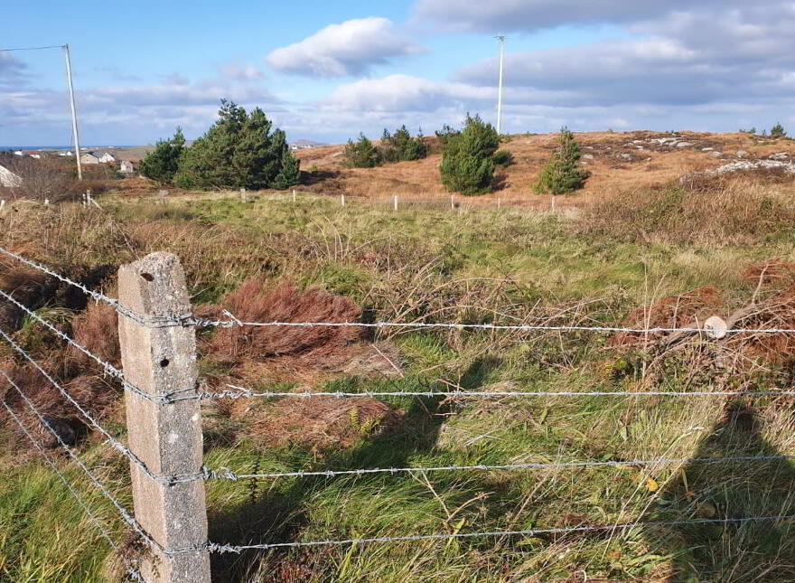 Ranafast, Site