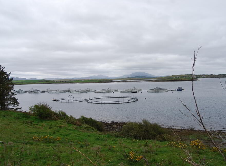 Leatbeg, Fanad