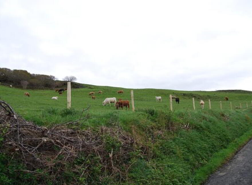 Leatbeg, Fanad