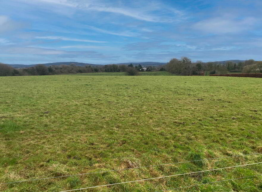 Ballymackeogh, Newport