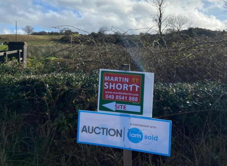 Carrickavee, Ballyjamesduff