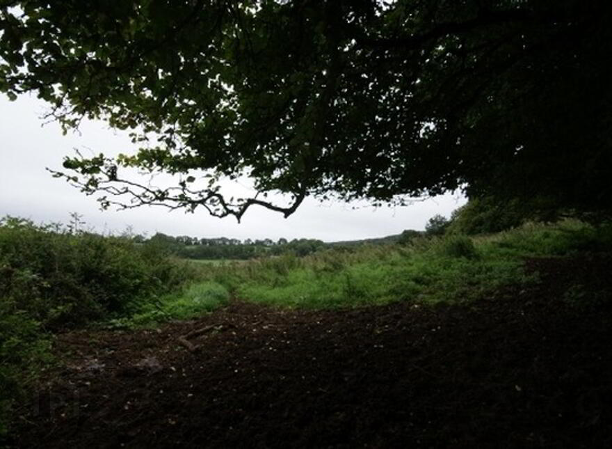 Ballinascarry, Mountnugent