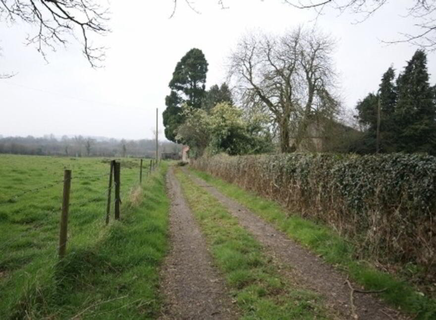 Lismacanican, Mount Nugent, A82K002