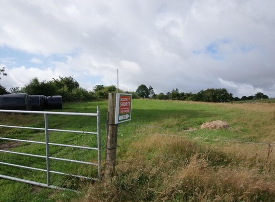 Murmod, Virginia, Cavan