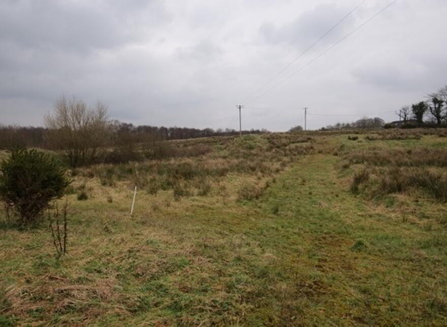 Drumbee, Kilnaleck, Cavan
