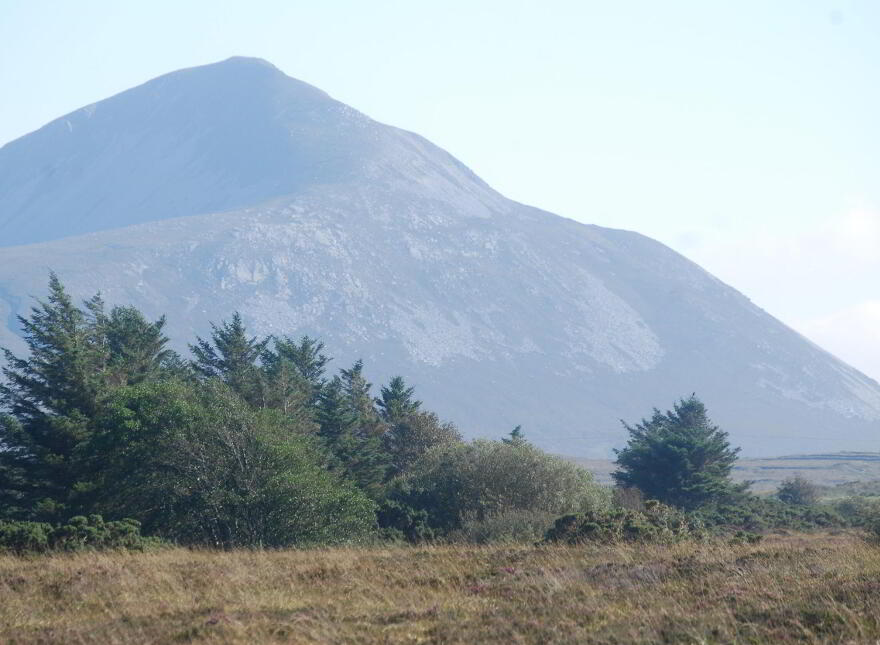Baltoney, Gortahork