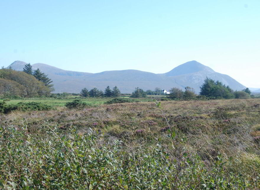 Baltoney, Gortahork