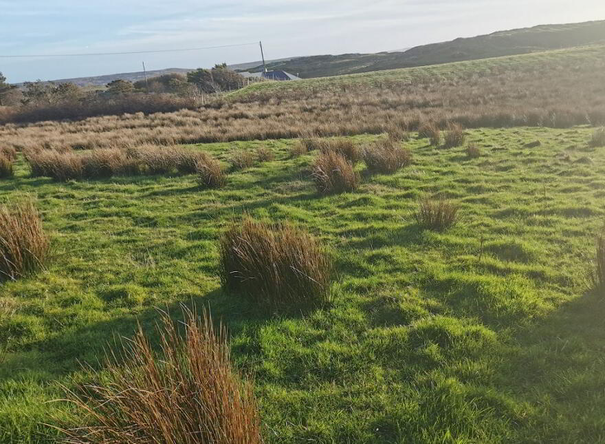 Bayleek, Clifden