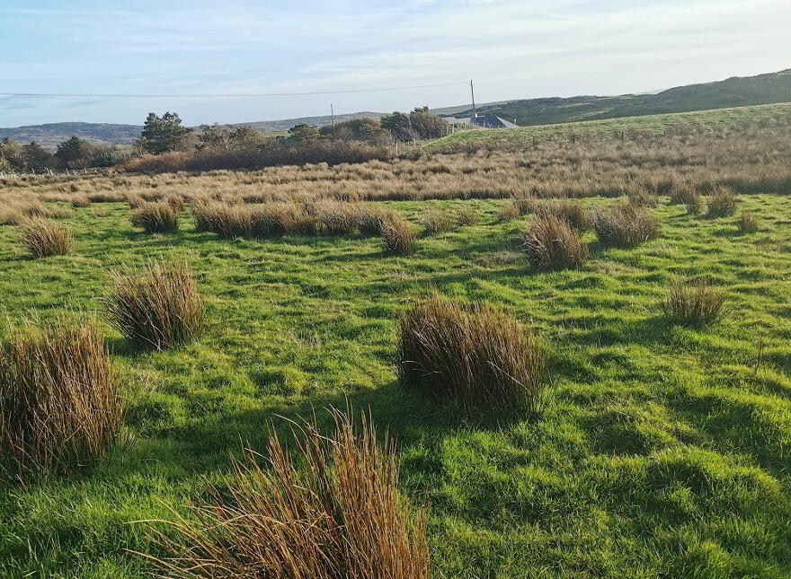 Bayleek, Clifden