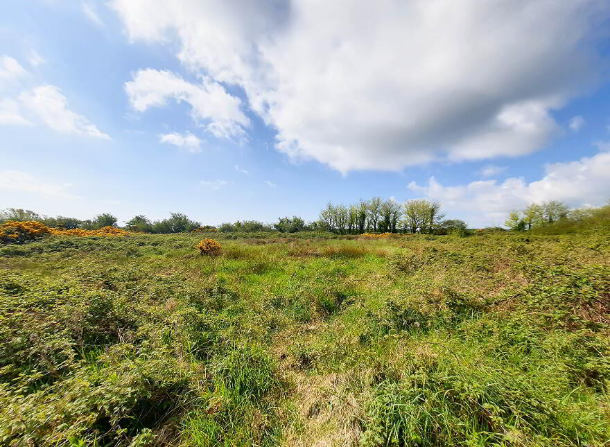 Killannaduff, Kilmuckridge, Gorey photo