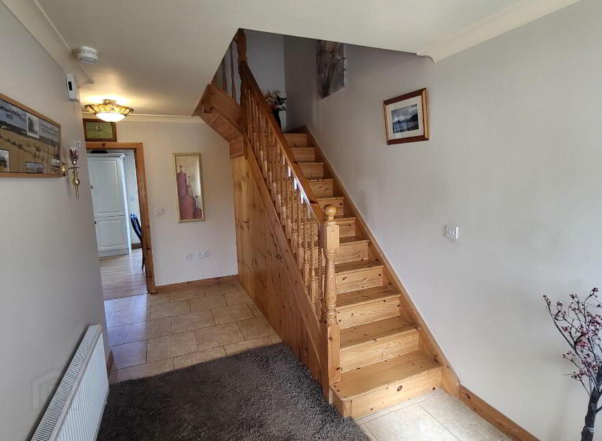 Knockmullin, Fenagh Village, Fenagh, N41VA07