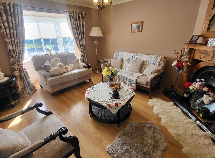 Knockmullin, Fenagh Village, Fenagh, N41VA07