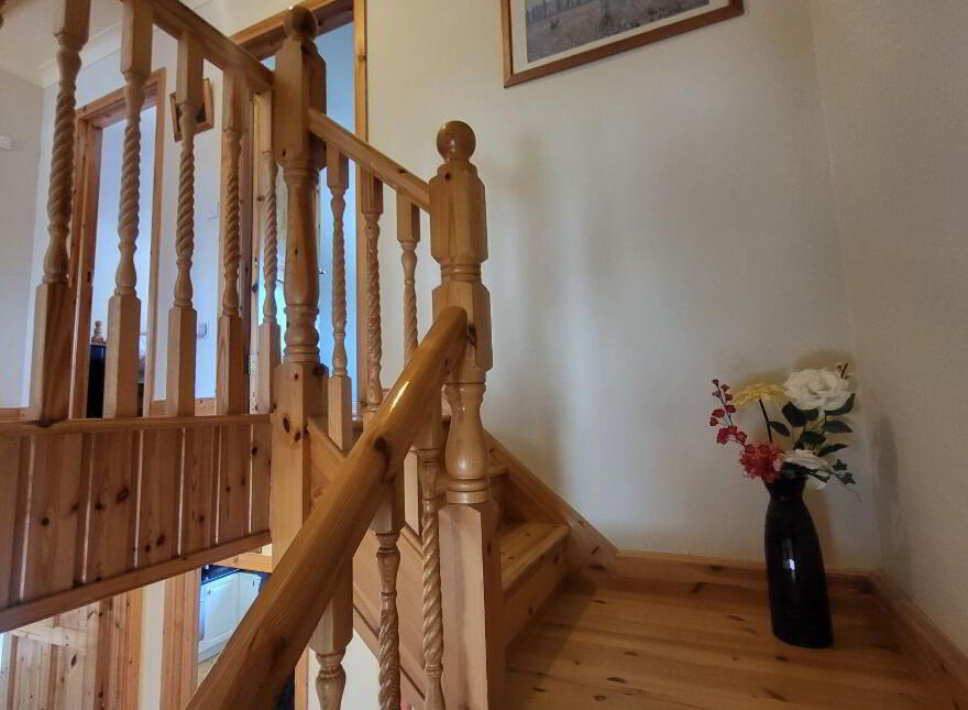 Knockmullin, Fenagh Village, Fenagh, N41VA07