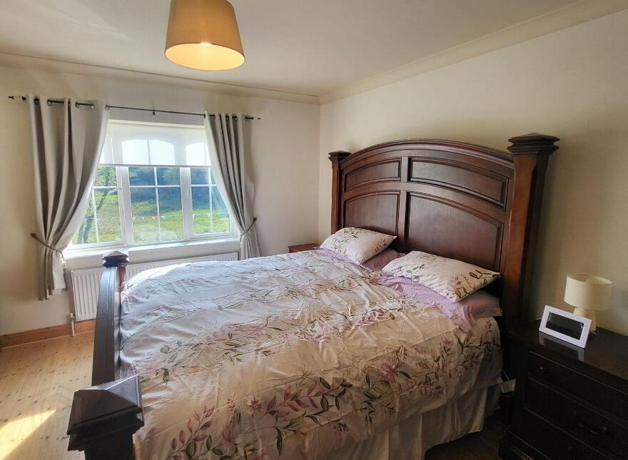 Knockmullin, Fenagh Village, Fenagh, N41VA07