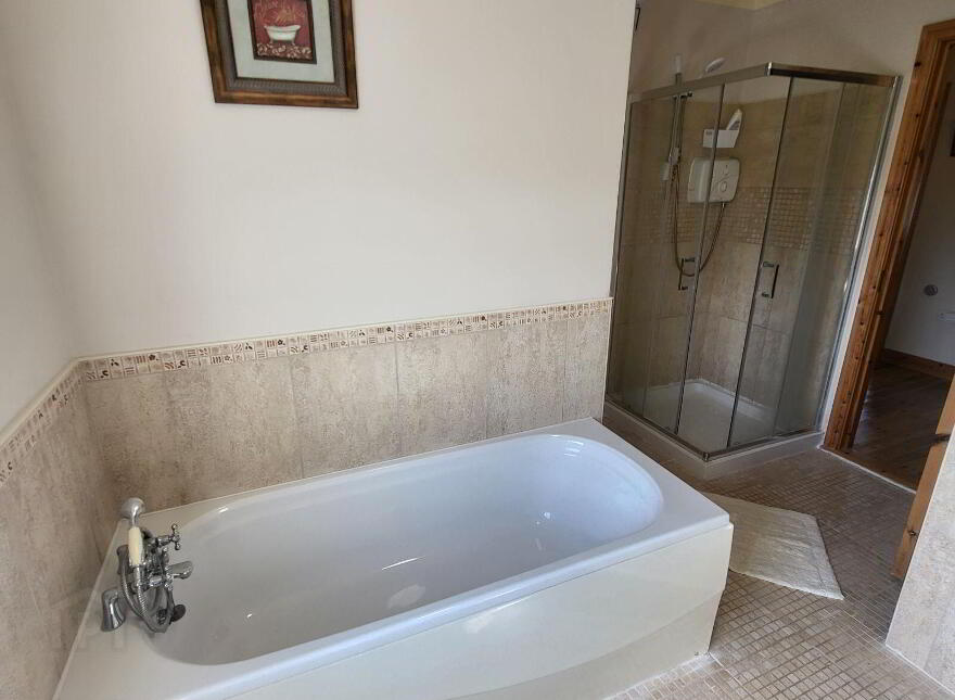 Knockmullin, Fenagh Village, Fenagh, N41VA07
