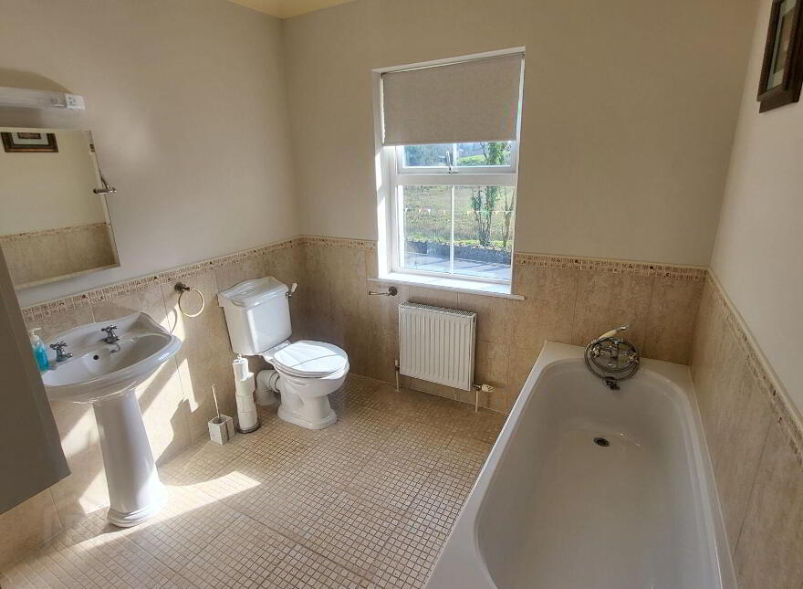 Knockmullin, Fenagh Village, Fenagh, N41VA07