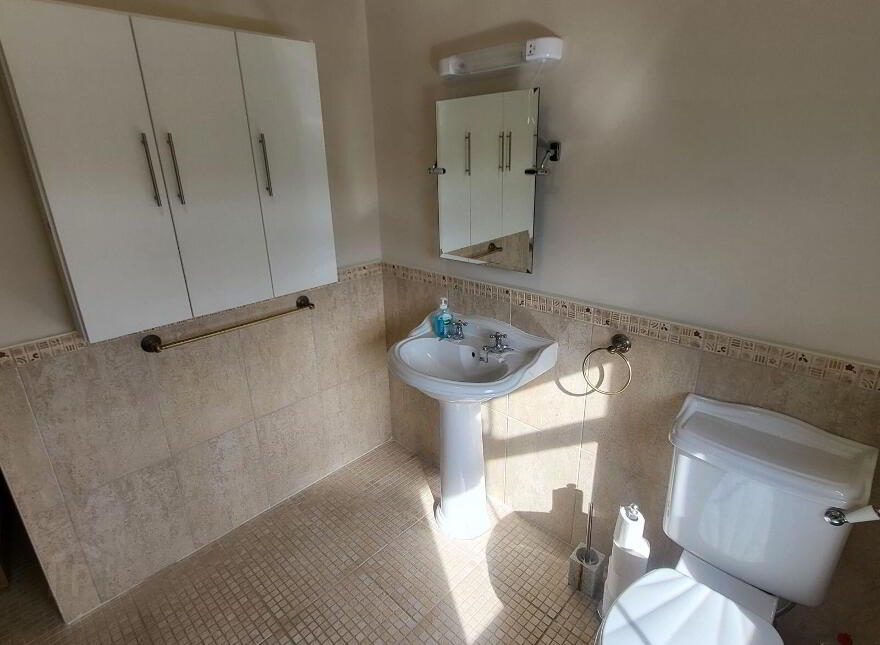 Knockmullin, Fenagh Village, Fenagh, N41VA07