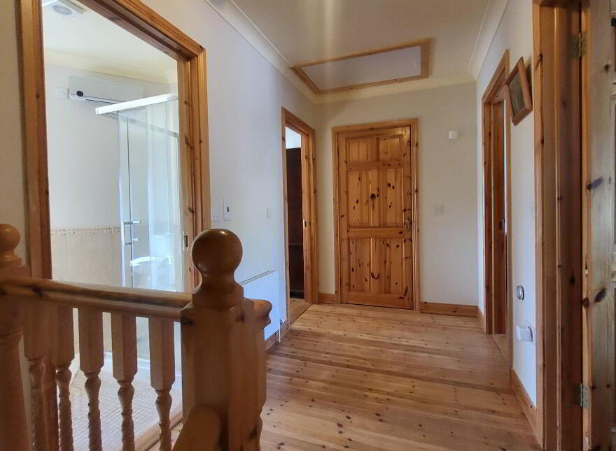 Knockmullin, Fenagh Village, Fenagh, N41VA07