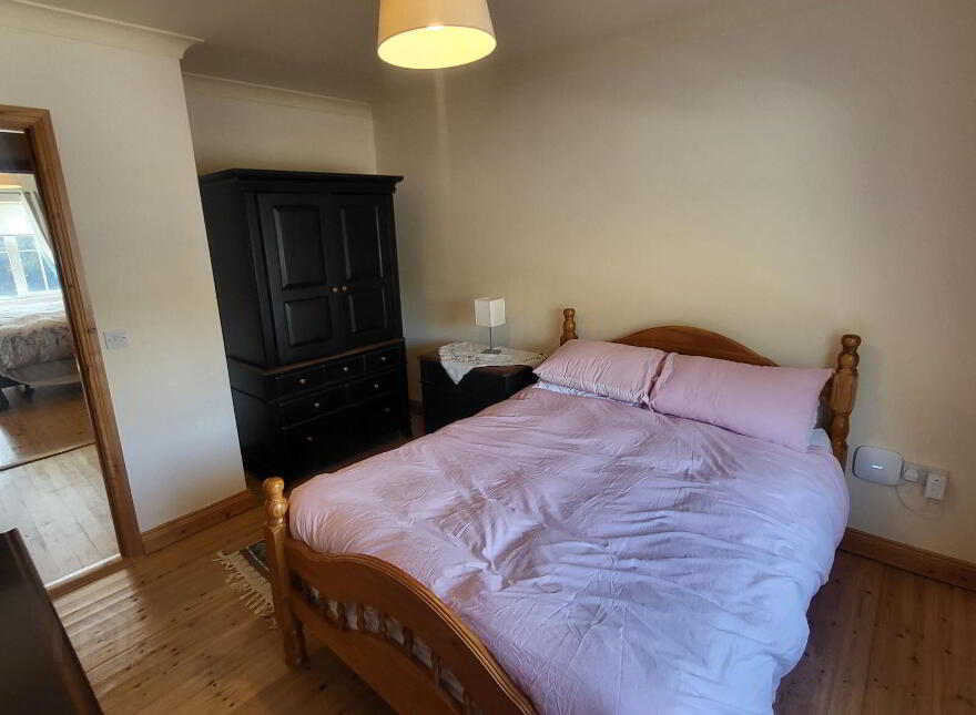Knockmullin, Fenagh Village, Fenagh, N41VA07