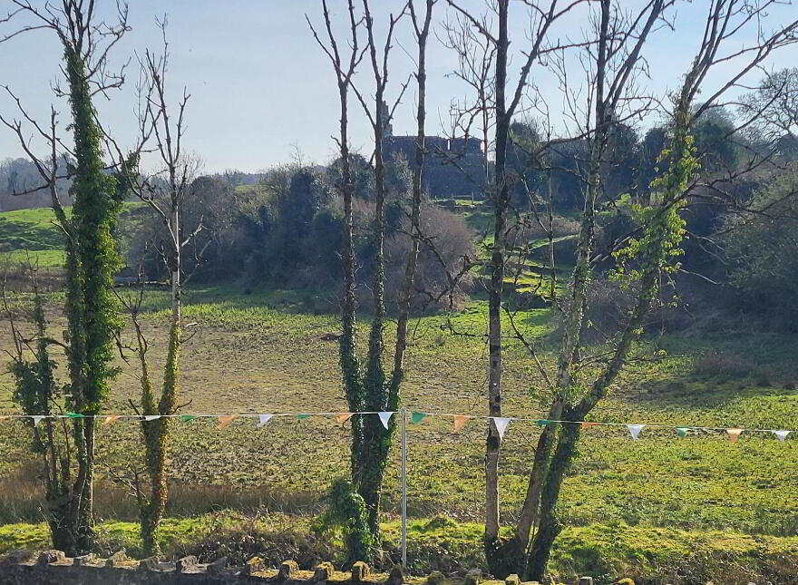 Knockmullin, Fenagh Village, Fenagh, N41VA07