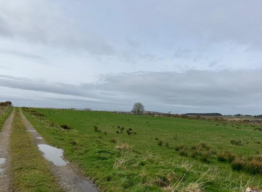 BUILDING SITE, Monnaboy Road, Eglinton, Derry / Londonderry, BT47 3HP
