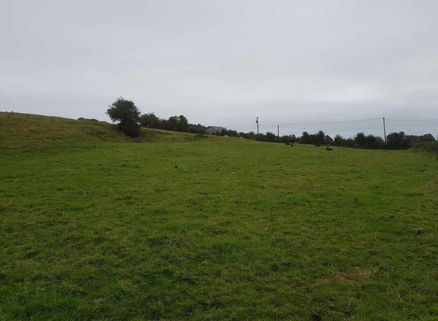 Grange, Kilmallock