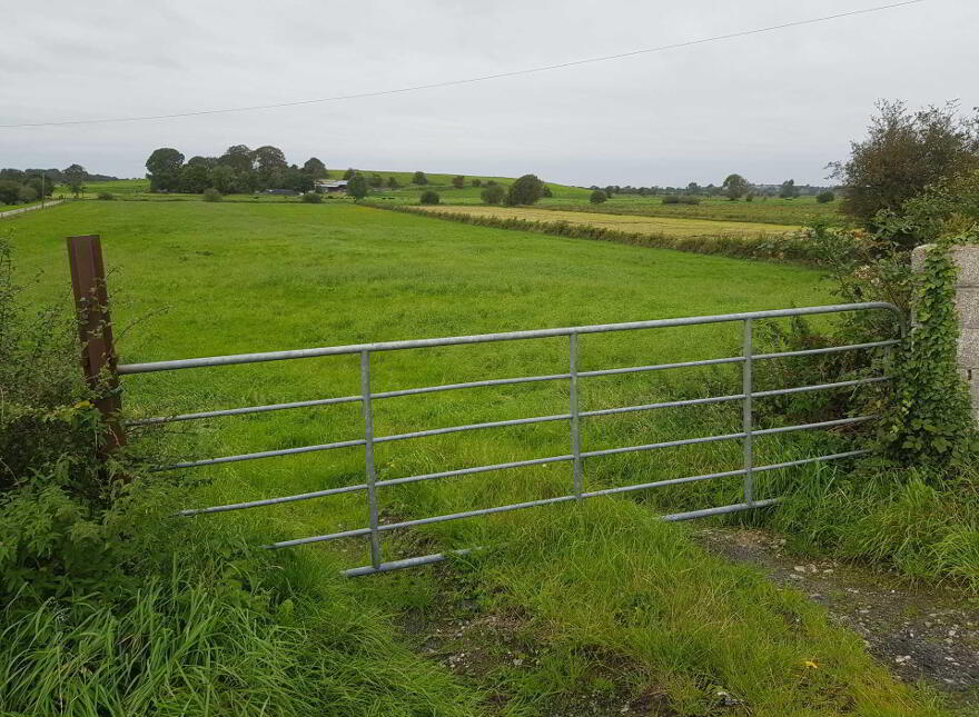 Grange, Kilmallock
