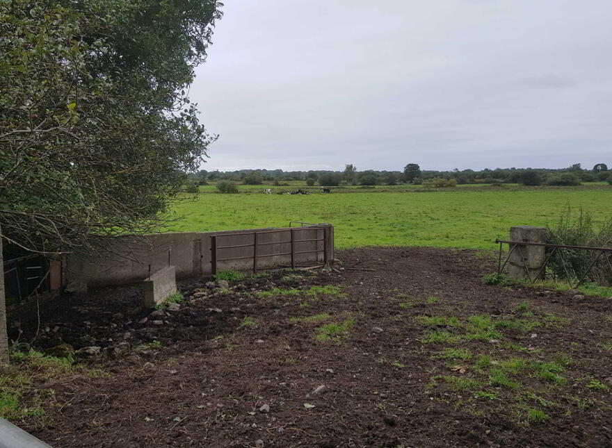 Grange, Kilmallock