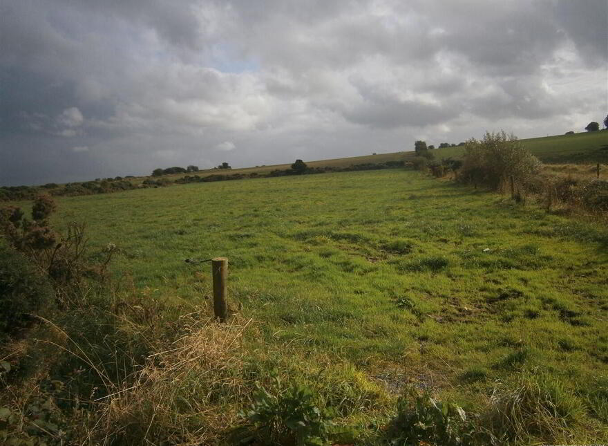 Island, Carrignavar